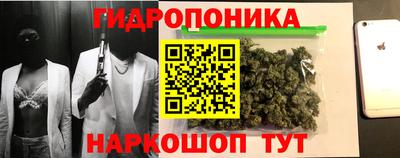 трава Бийск